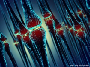 AdobeStock_73051505_Credit