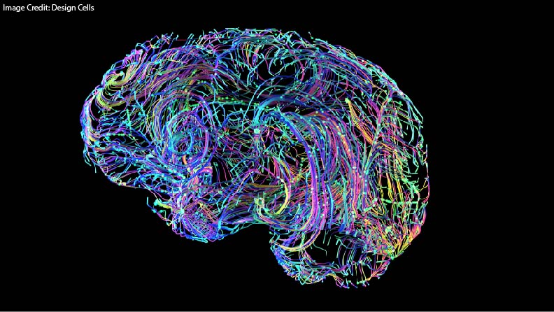 The Neuroscience of Retrieval Practice – Education & Teacher Conferences